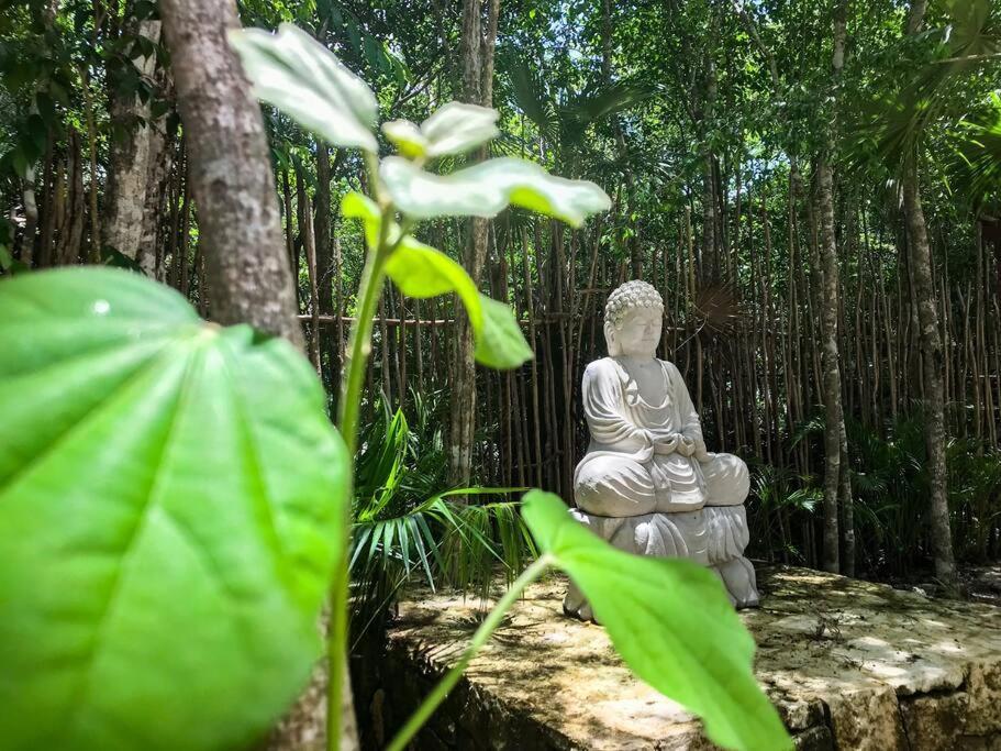 Designer Penthouse - Jungle Views, Bike To Appartamento Tulum