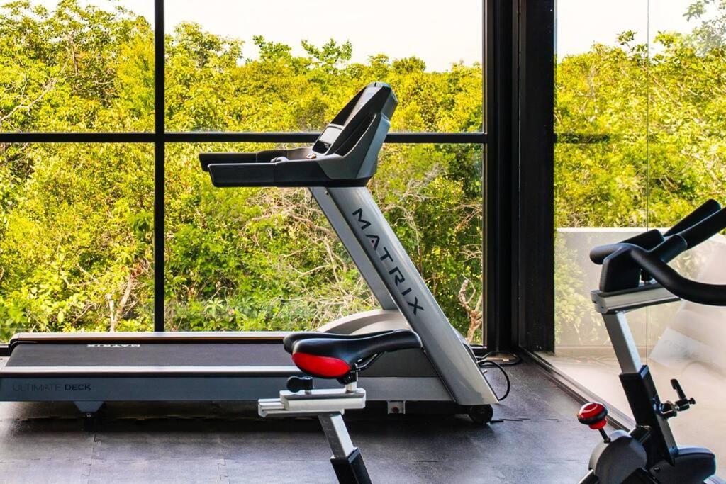 Designer Penthouse - Jungle Views, Bike To Apartment