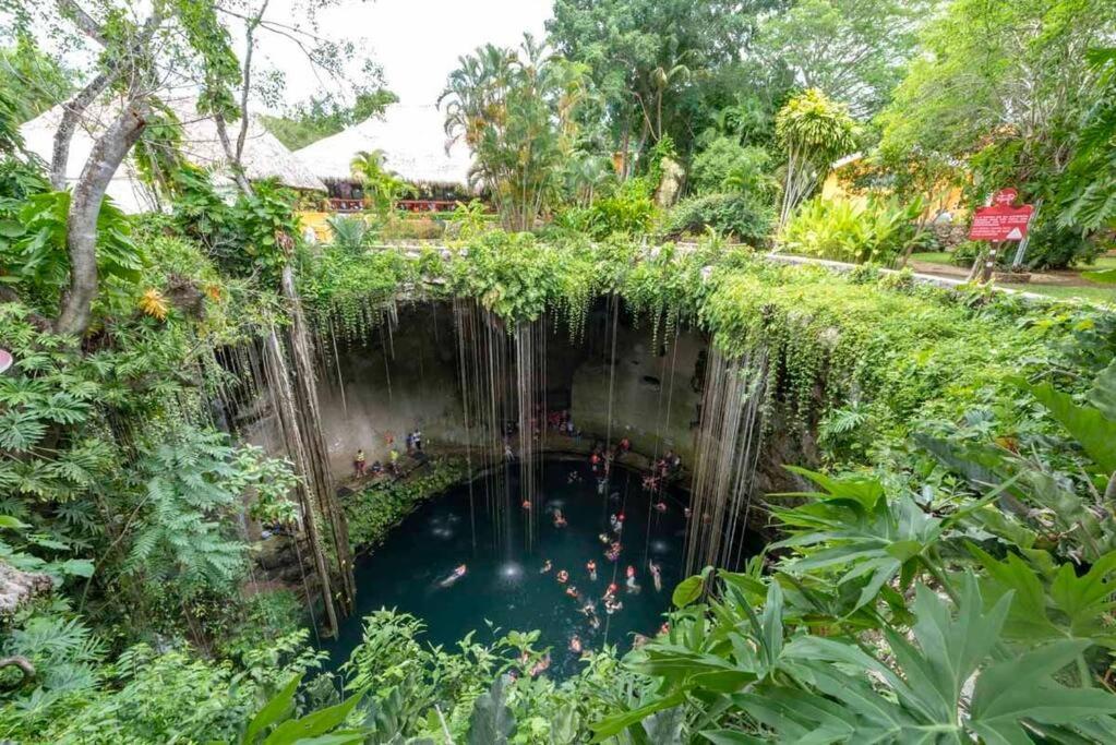 Designer Penthouse - Jungle Views, Bike To